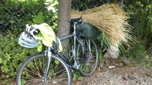 Wheat Bike