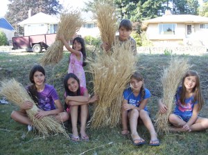 Kids Harvest